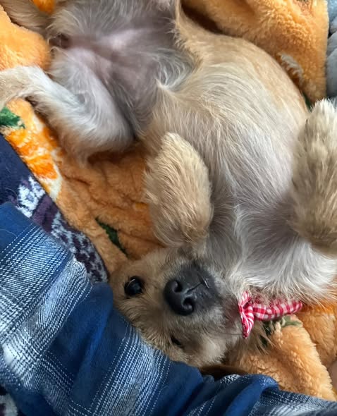 Betty - Image 2