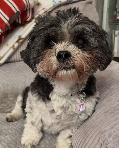 Rosie