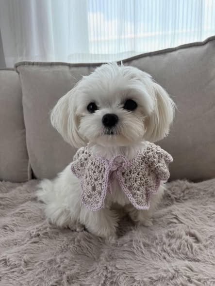 Fiona
