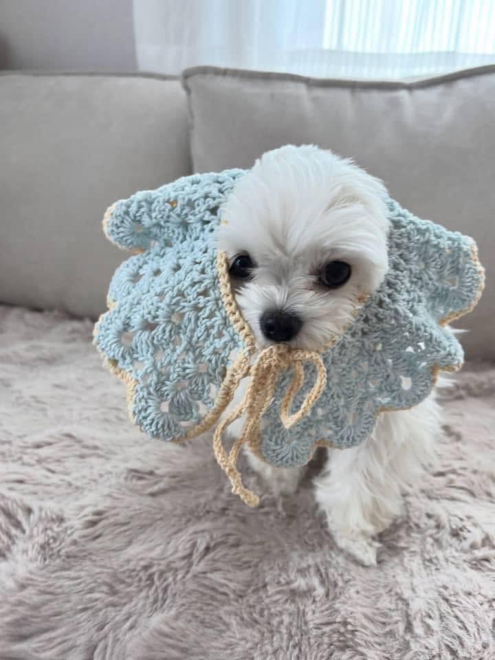 Fiona - Image 2